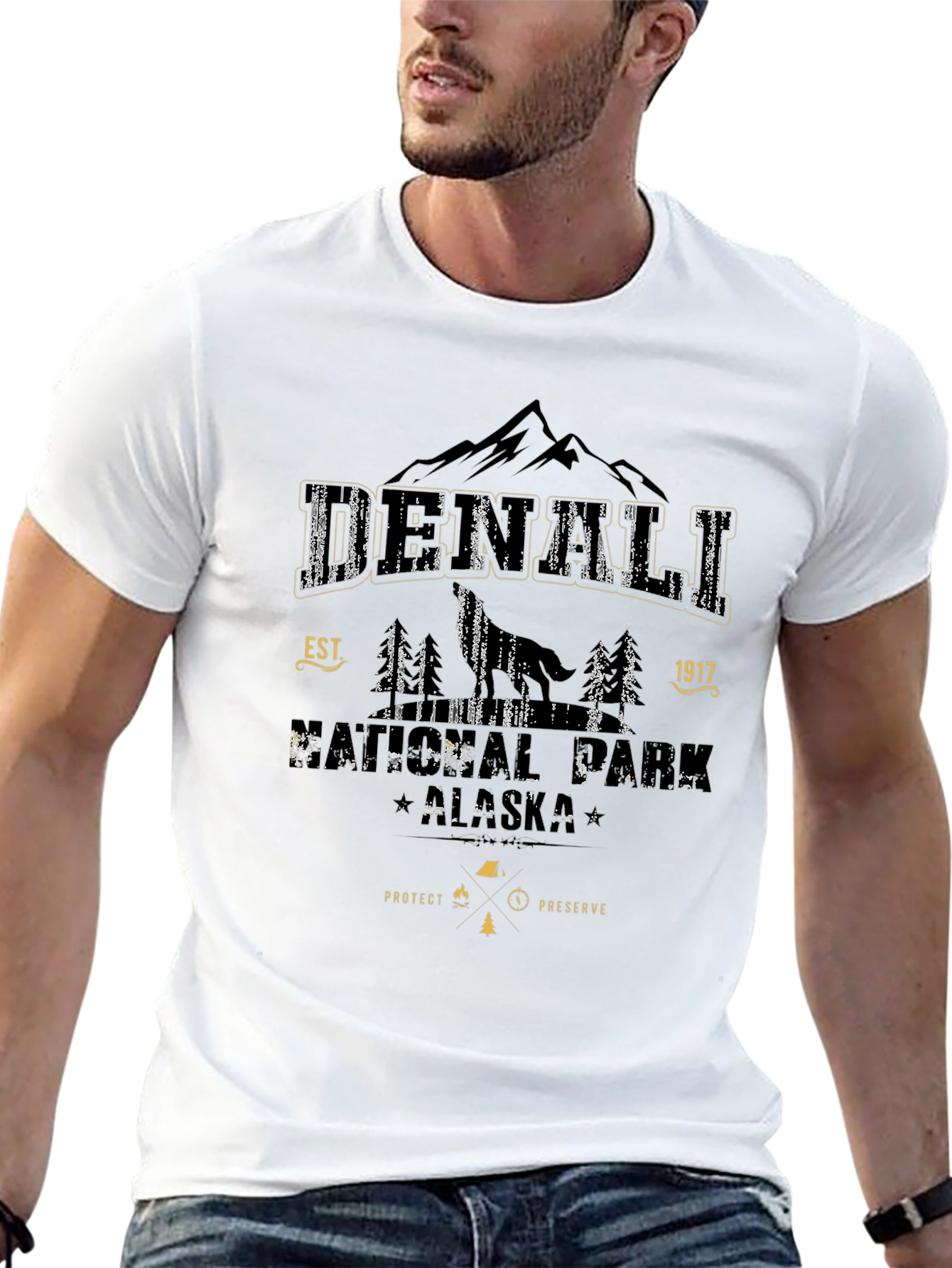 Denali National Park Black Graphic Tee