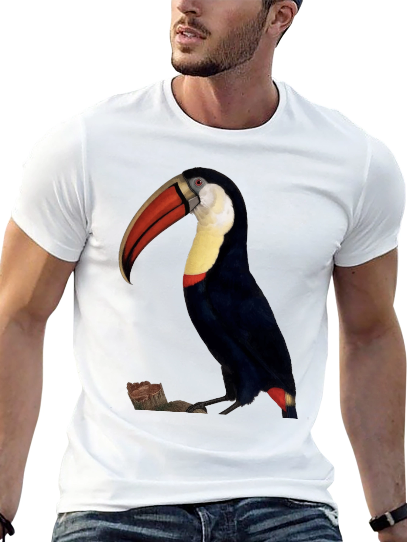 Toucan Bird Graphic Print Black T-Shirt