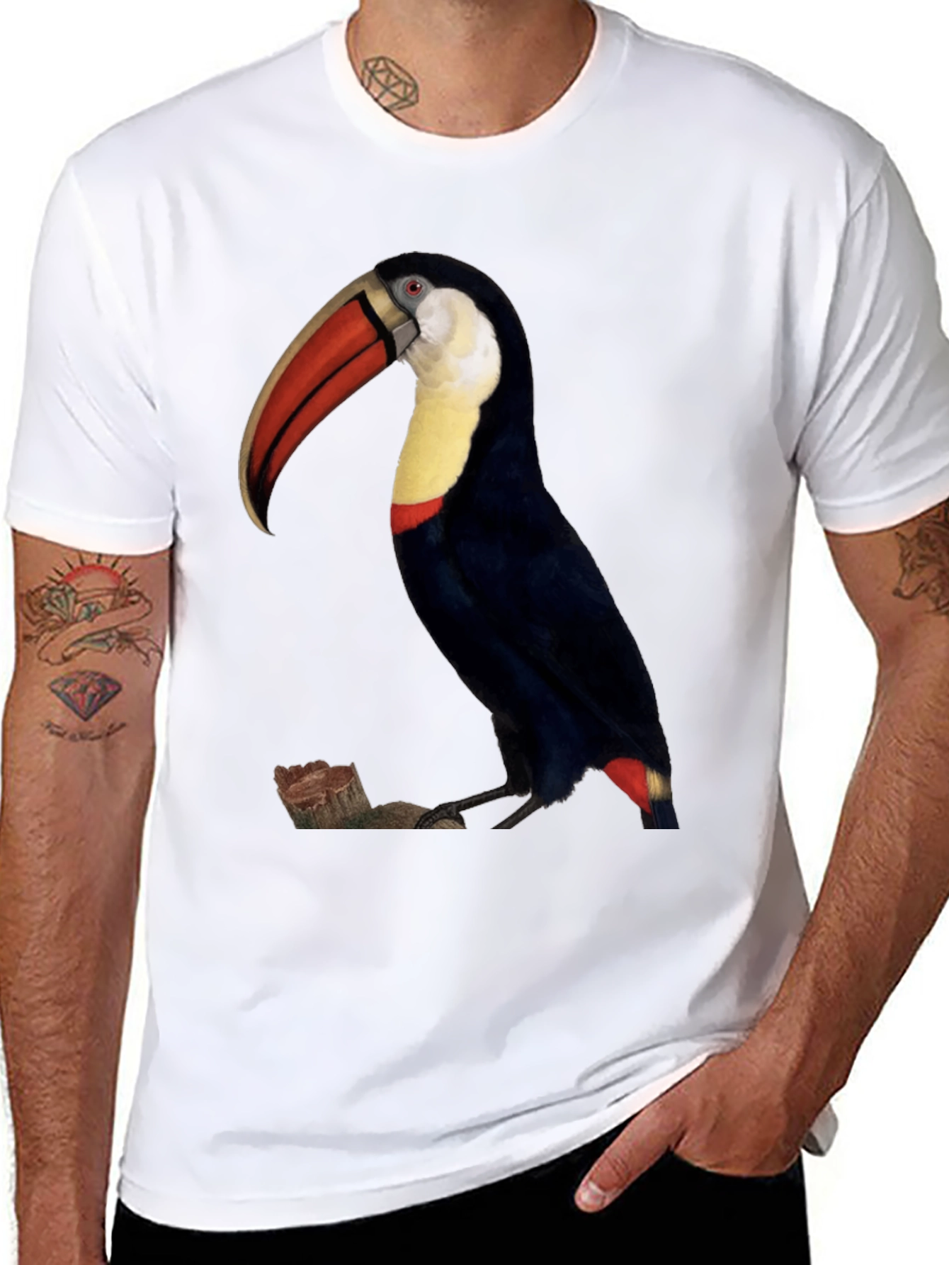 Toucan Bird Graphic Print Black T-Shirt