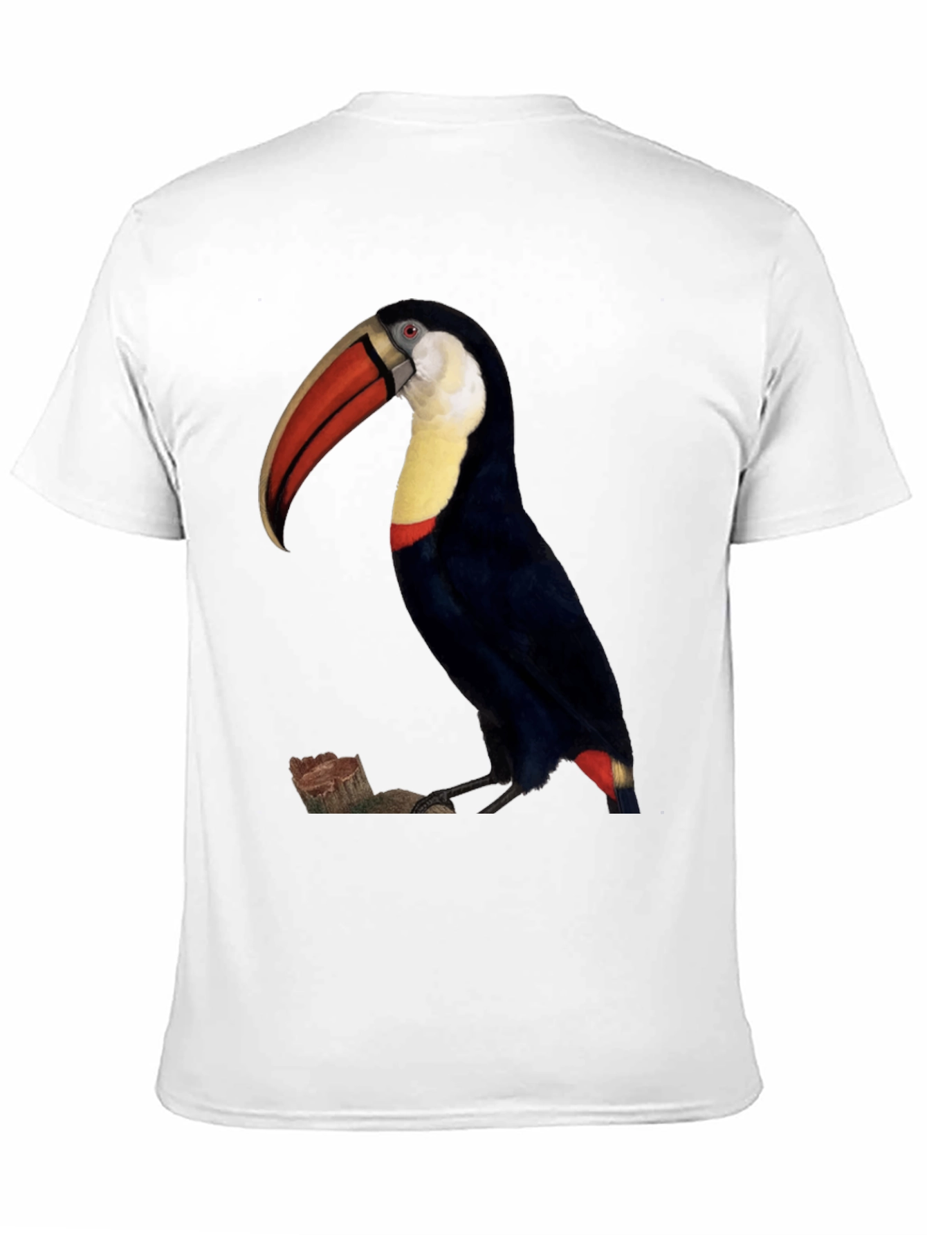 Toucan Bird Graphic Print Black T-Shirt