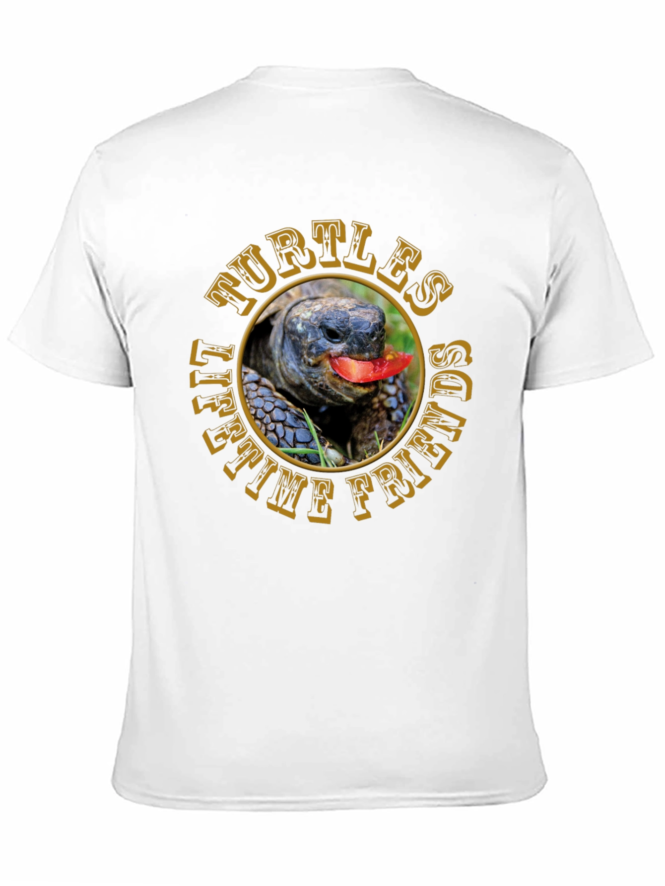 Turtles Lifetime Friends T-Shirt