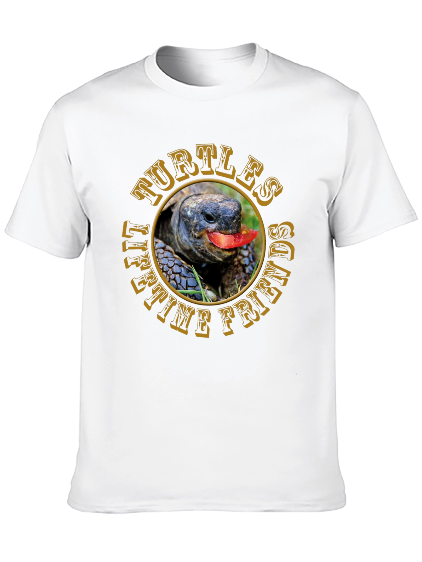 Turtles Lifetime Friends T-Shirt