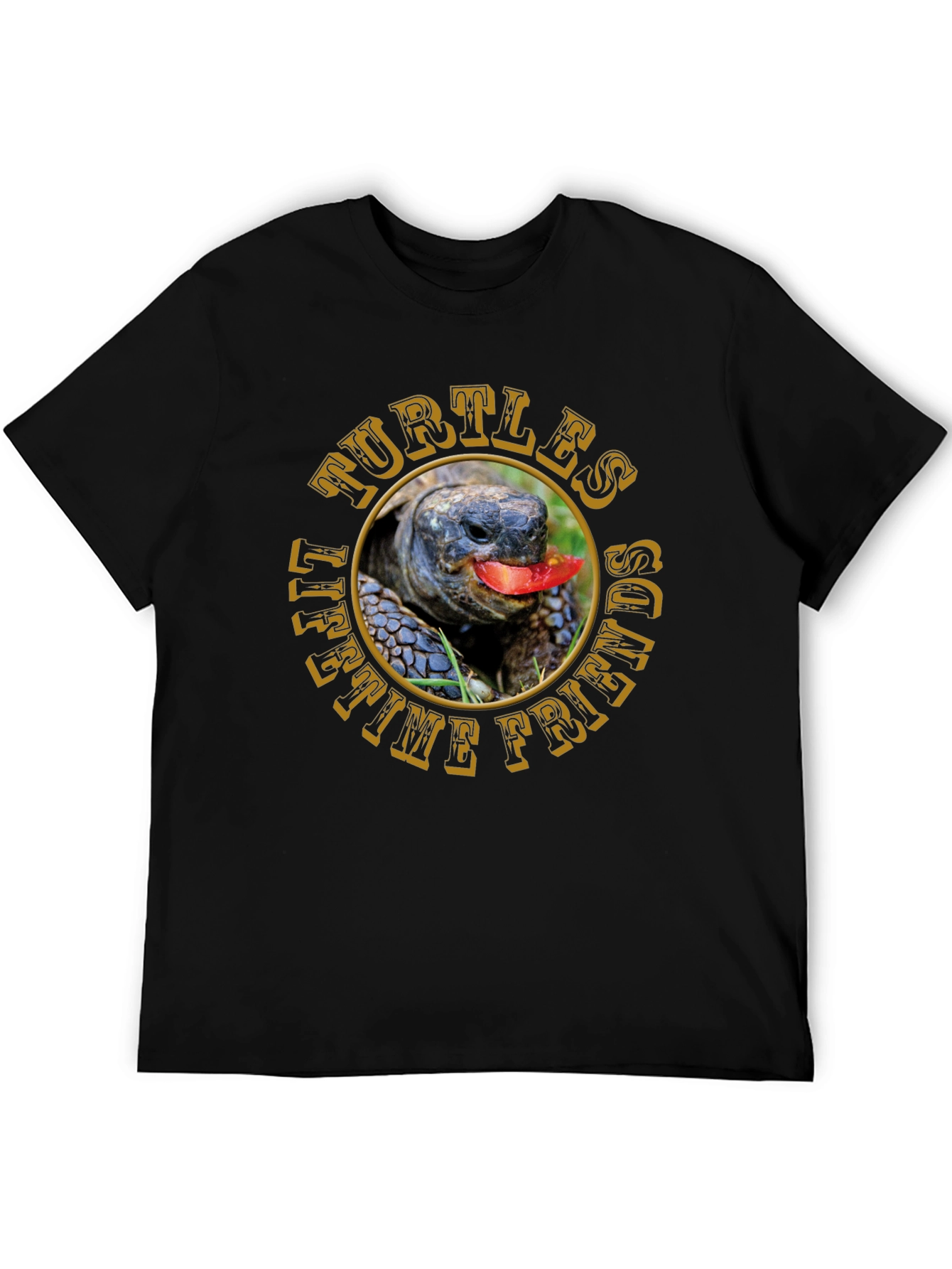 Turtles Lifetime Friends T-Shirt