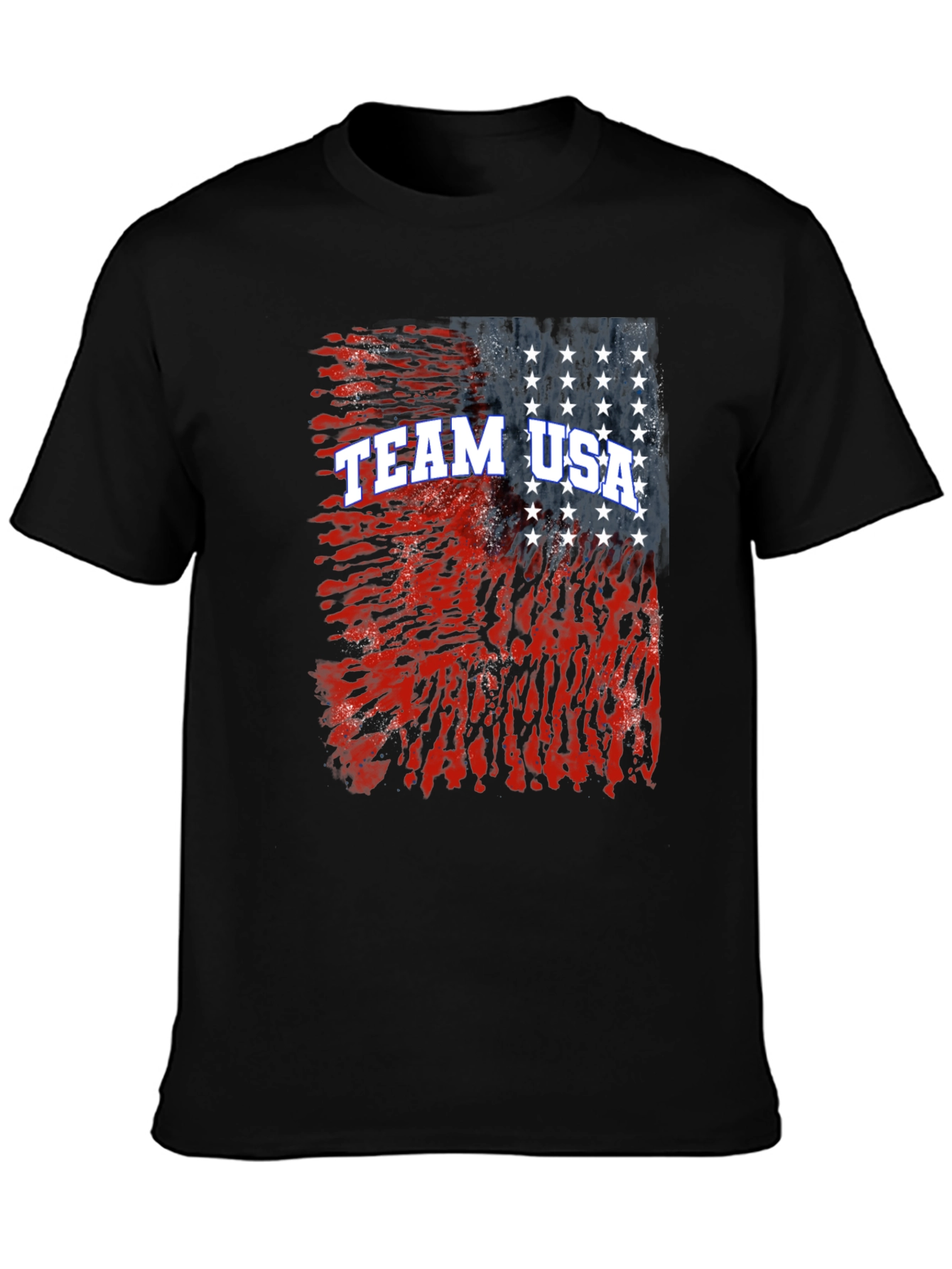 Team USA Graphic Print T-Shirt