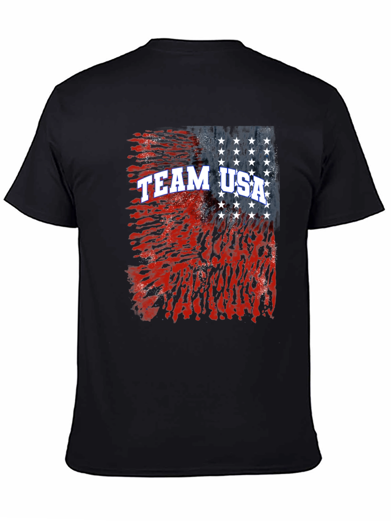 Team USA Graphic Print T-Shirt