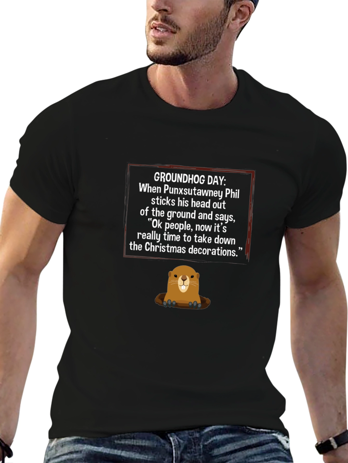 Groundhog Day Christmas Decoration T-Shirt