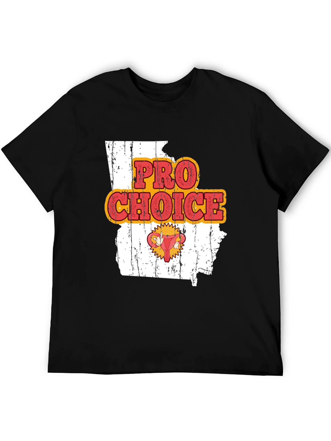 Pro Choice State Graphic Tee