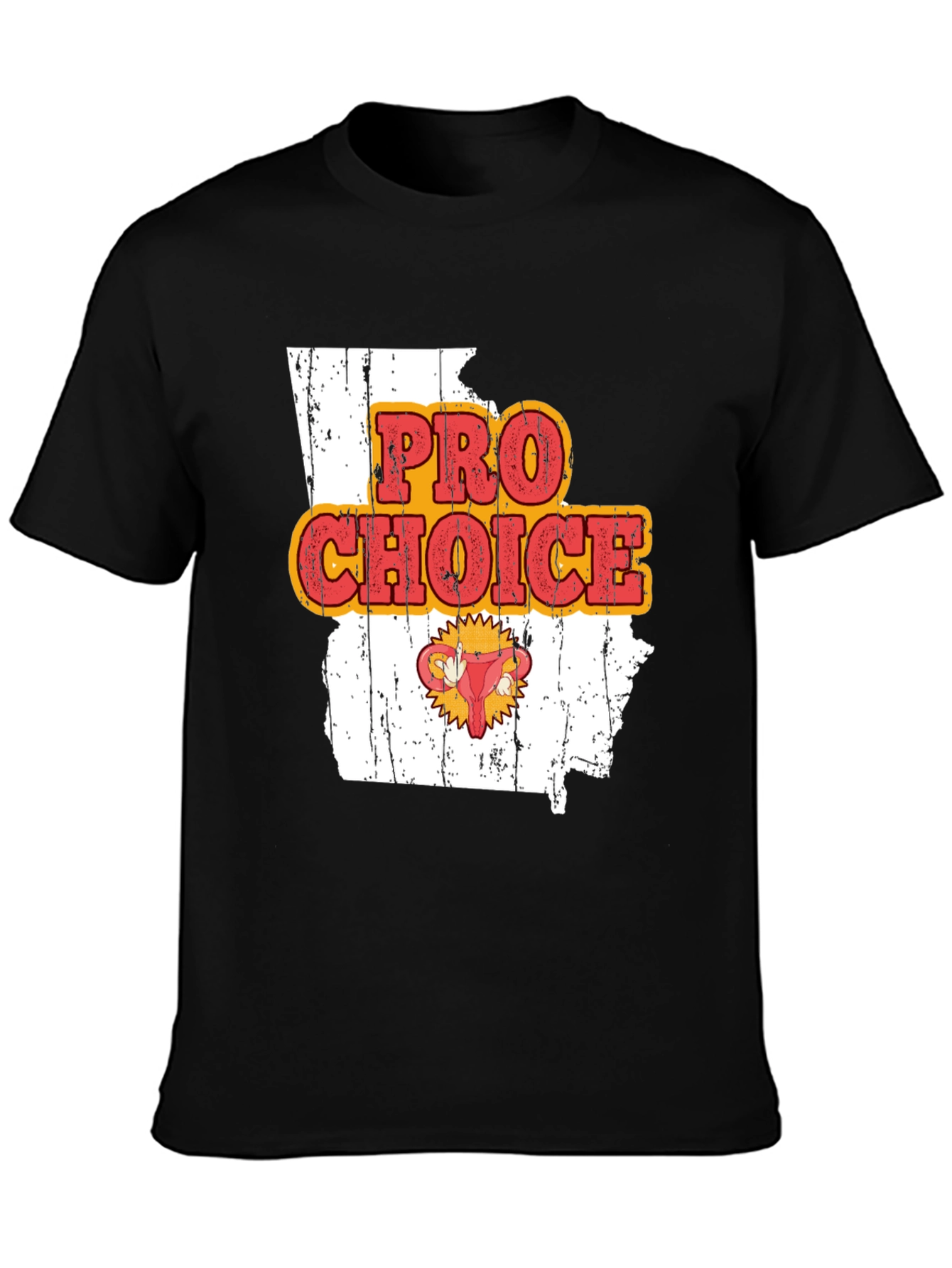 Pro Choice State Graphic Tee