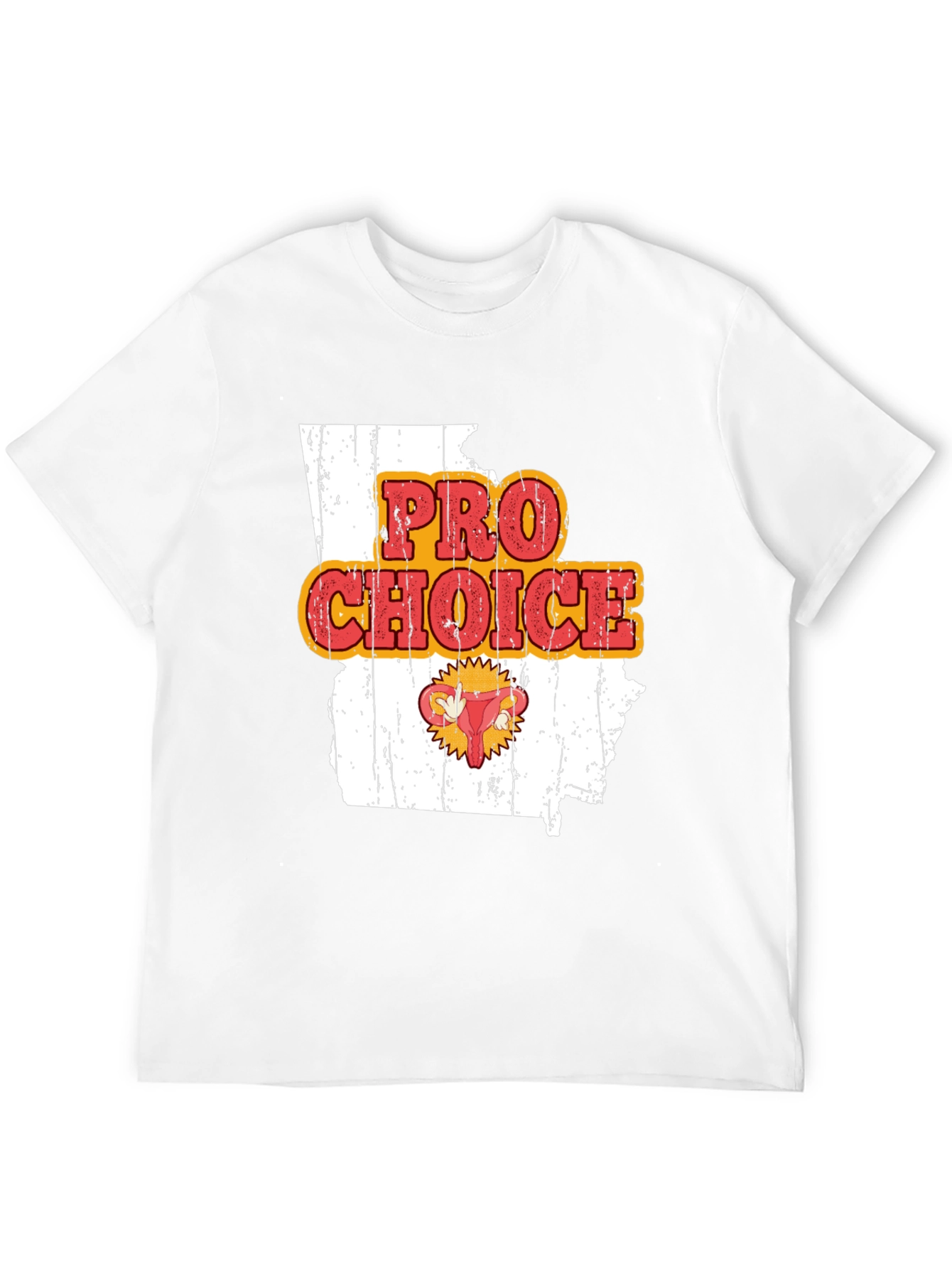 Pro Choice State Graphic Tee