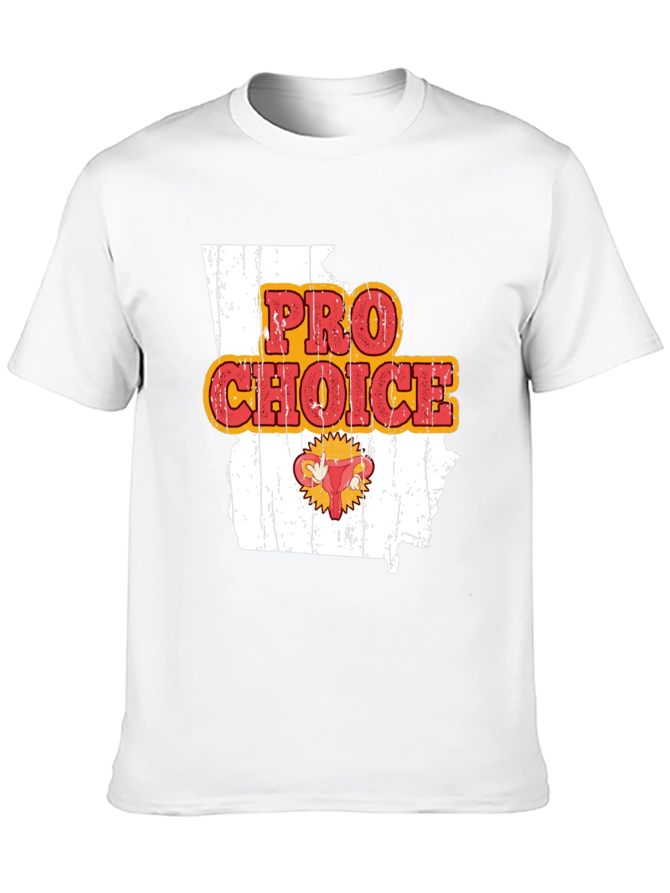 Pro Choice State Graphic Tee