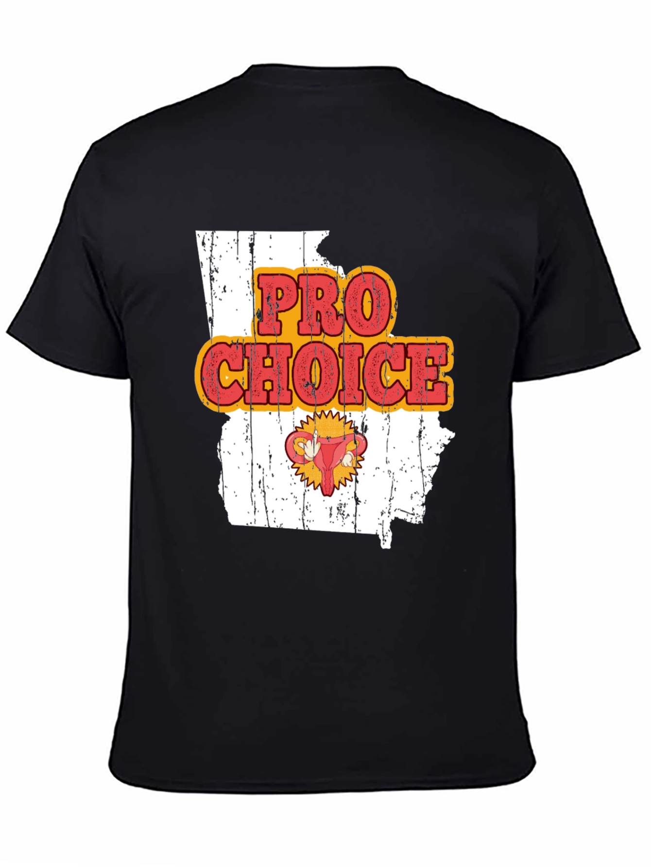 Pro Choice State Graphic Tee